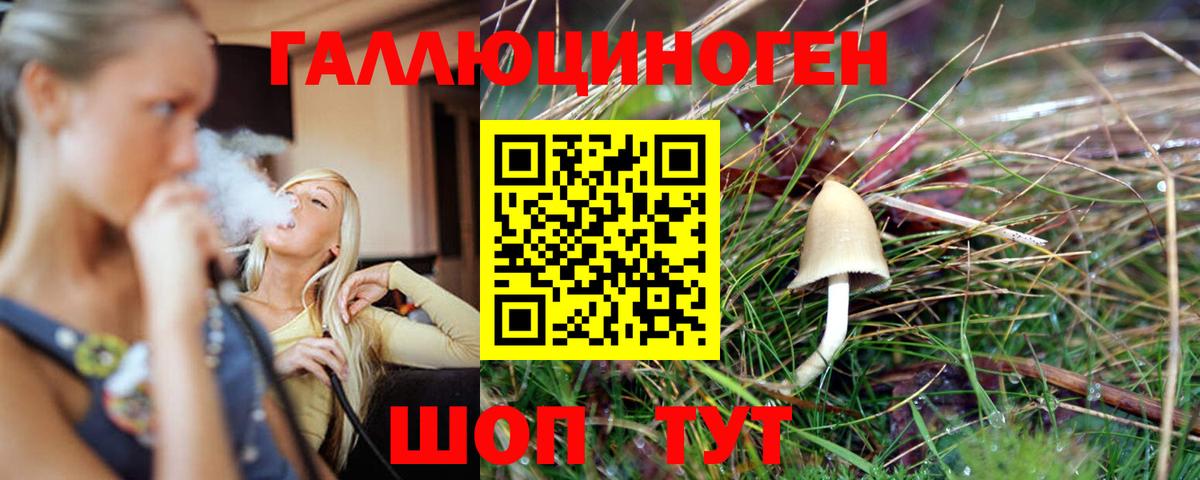 Галлюциногенные грибы Psilocybine cubensis Екатеринбург